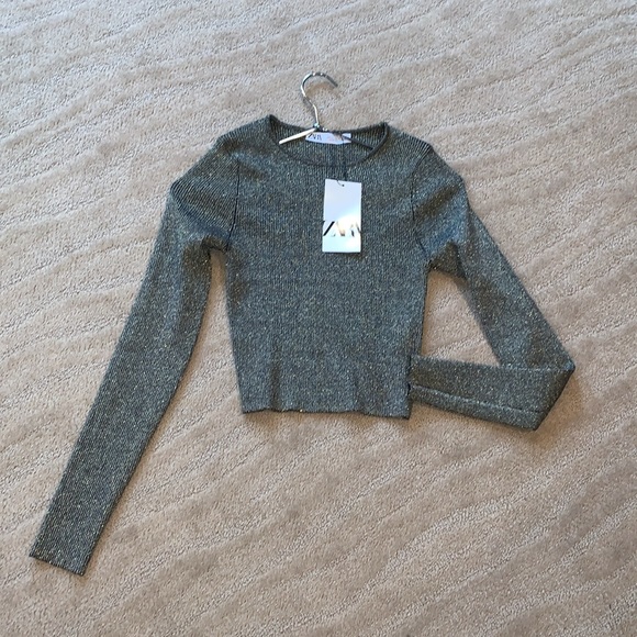 Zara - Metallic‎ Thread Knit Cropped Top - Picture 9 of 11
